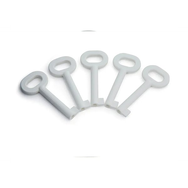 WSK 398 – Spare Keys for Smoke Control Panel (5 pcs)
